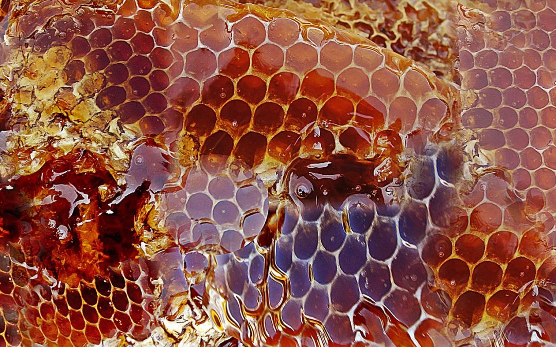 tipos-de-miel-artesanal-apicola