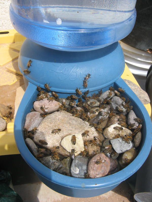 bebedero para abejas 3