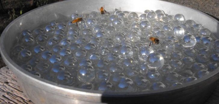 bebedero para abejas