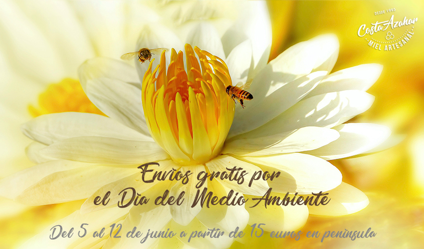 Sin abejas no habría vida. ¡Celebra el Día del Medio Ambiente con Apícola!